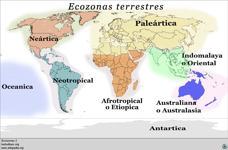 ecozonas, ecozones map