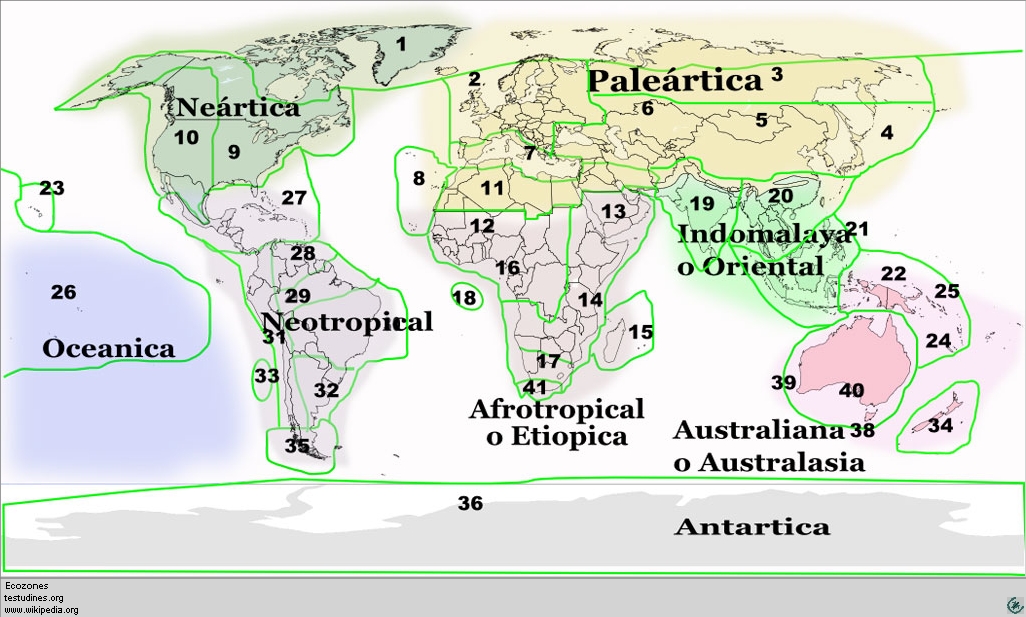 ecozonas, ecozones map
